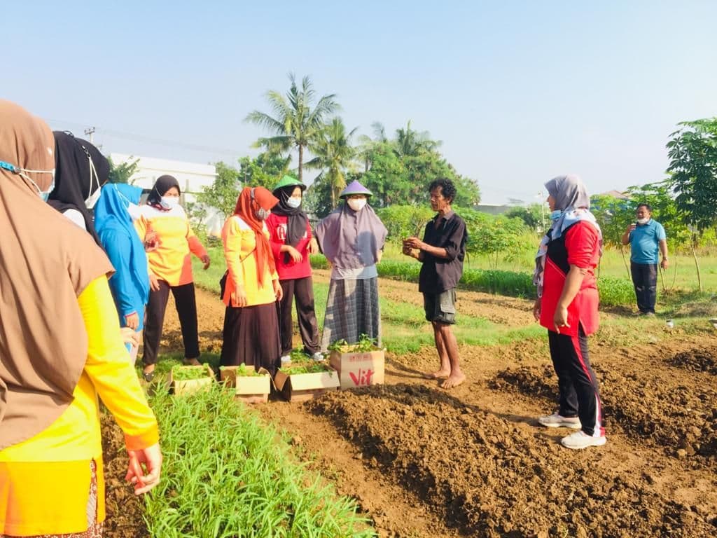Sinar Mas Land melalui KIIC Dampingi Warga Karawang dalam Bertani