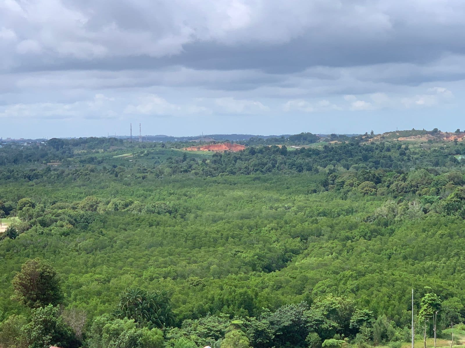 Sinar Mas Land Konservasi Hutan Bakau Seluas 43 Hektare di Nuvasa Bay Batam